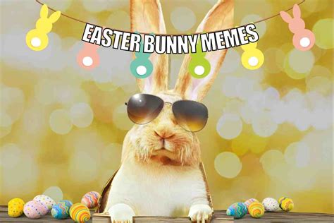 easter memes|More.